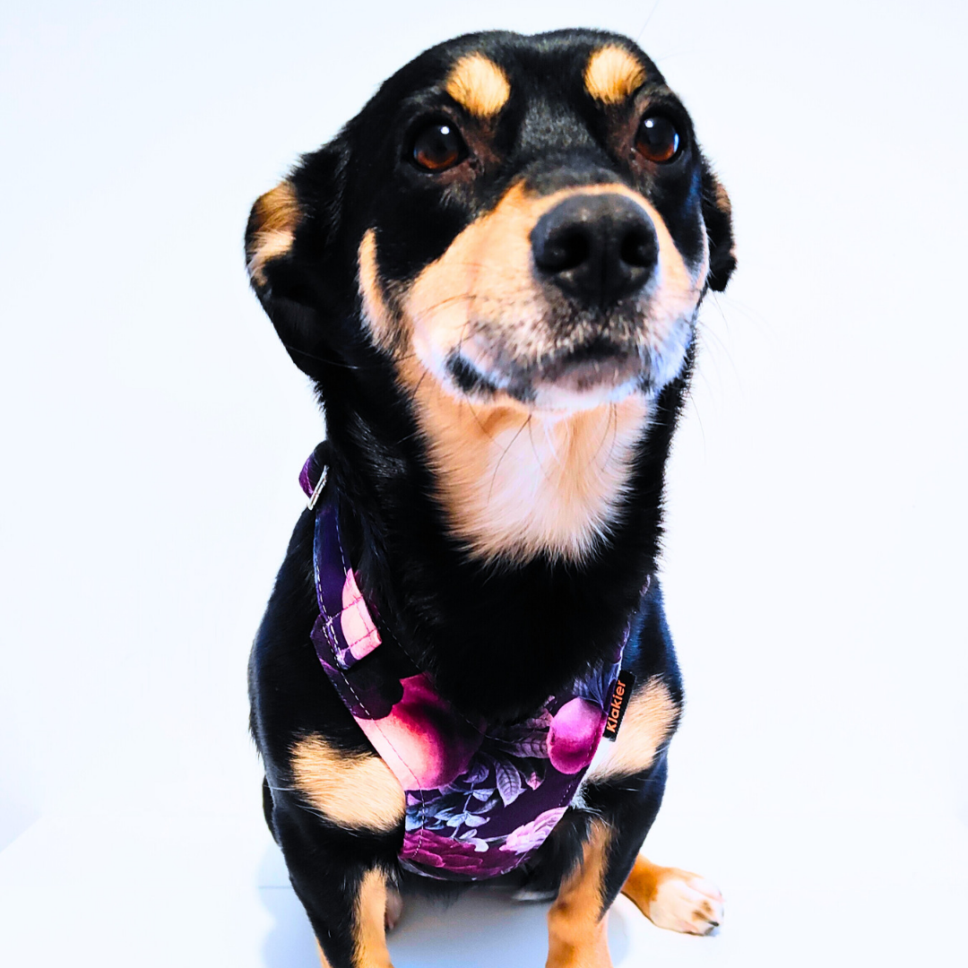 20240118_161933_0000