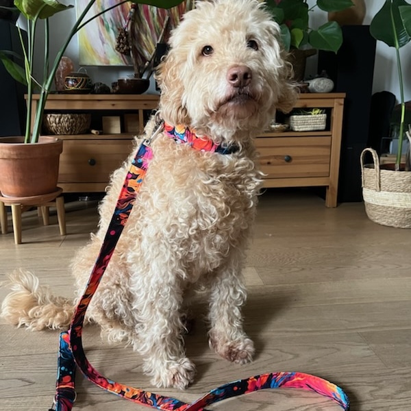 IMG_20240210_135531_309