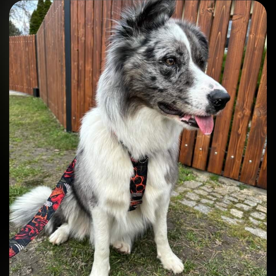 IMG_20240304_220541_698