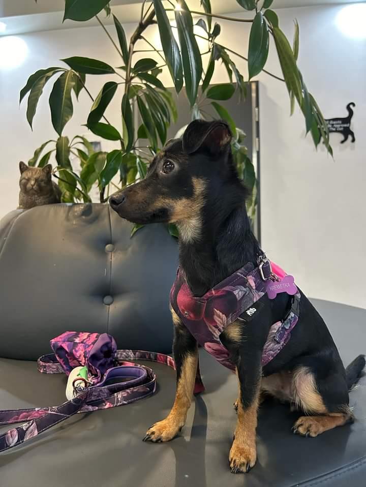 IMG_20240502_230326_014