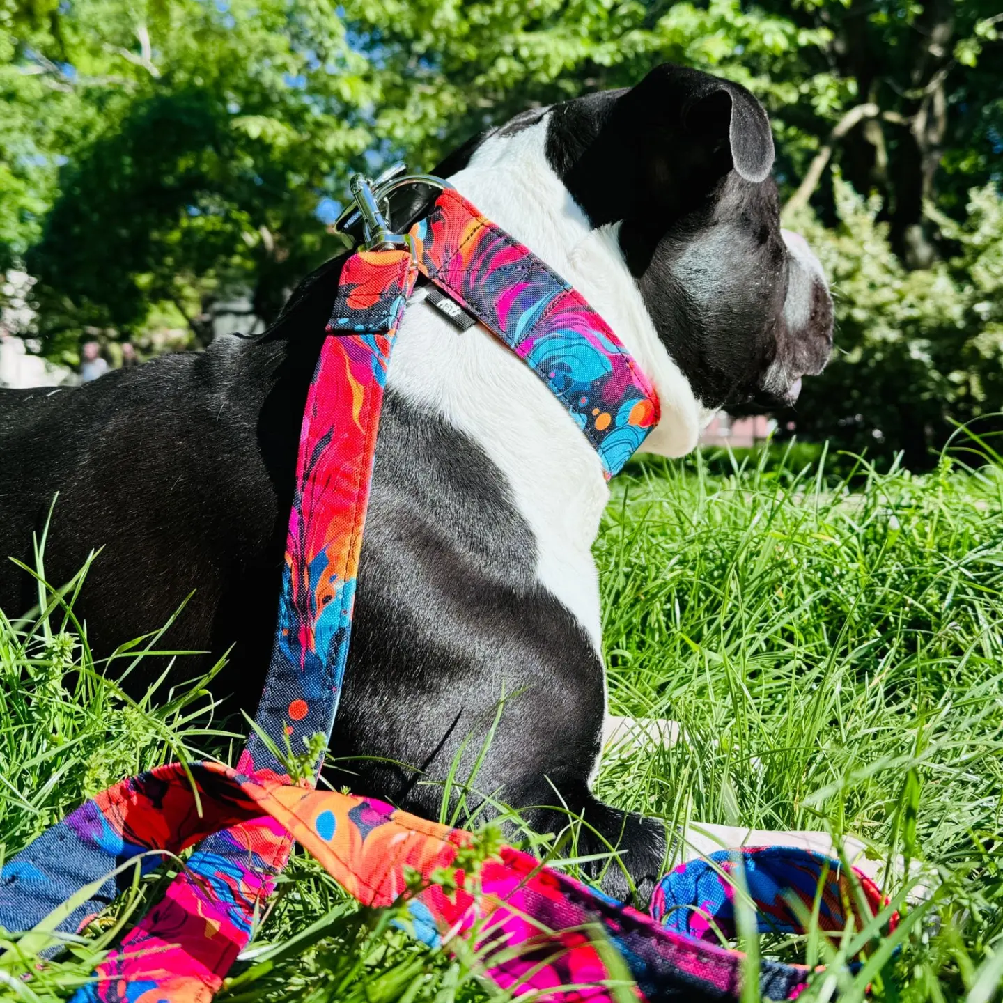 IMG_20240509_223804_135