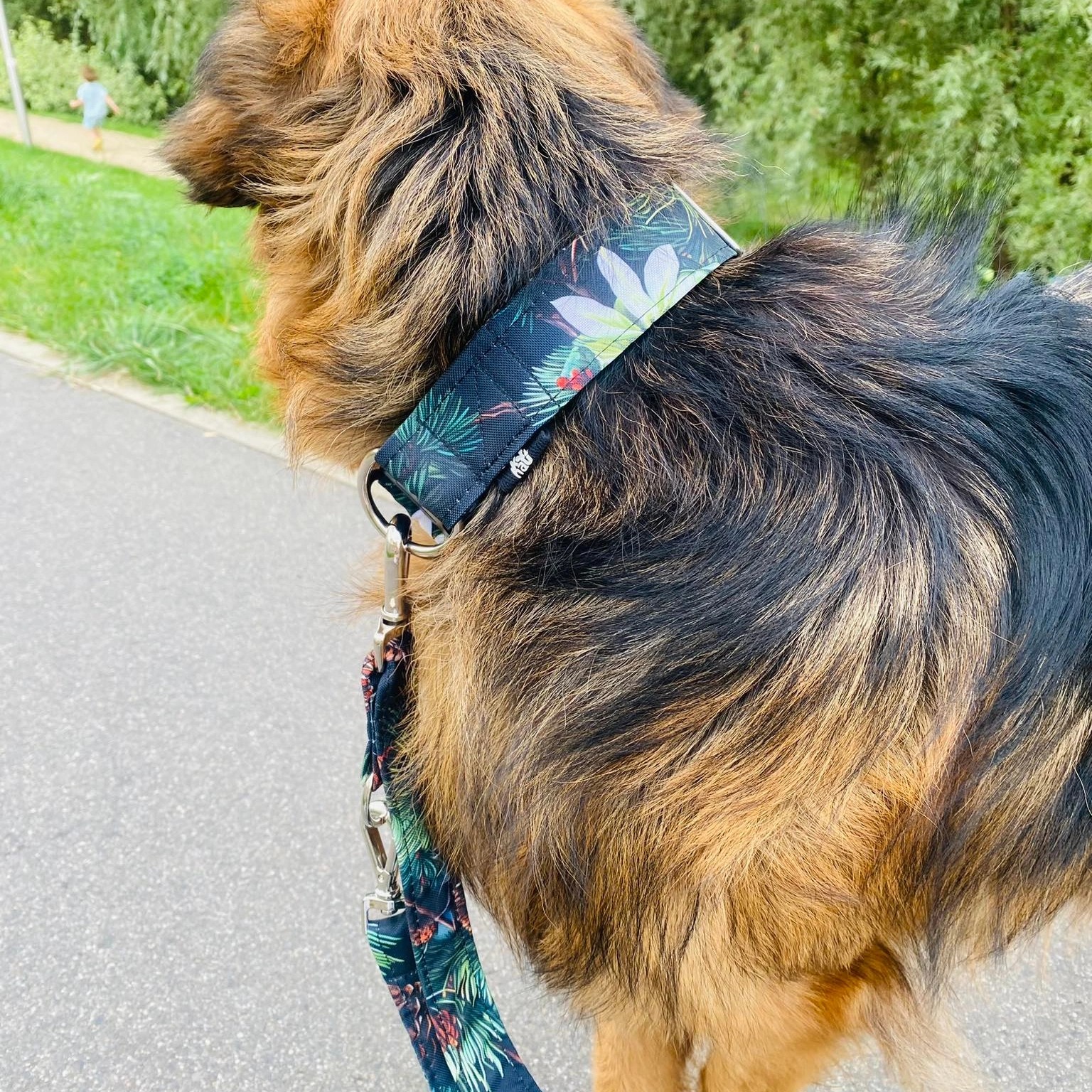 IMG_20240817_213105_568