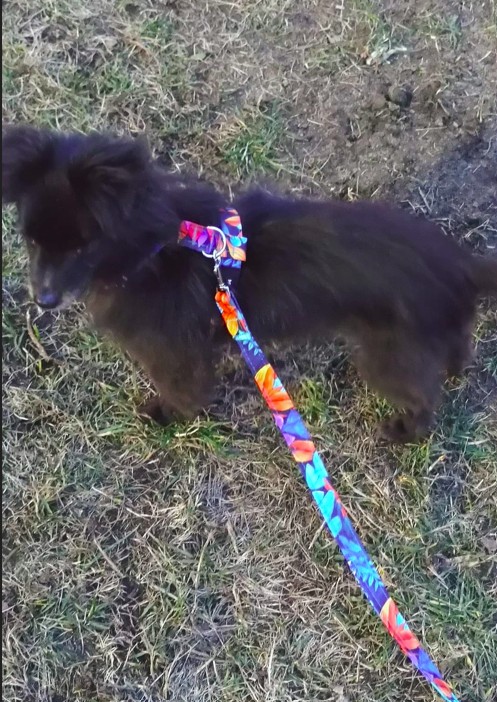 Zrzut ekranu 2025 03 25 120241