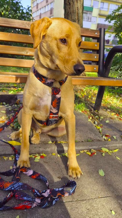 Zrzut ekranu 2025 03 25 120313