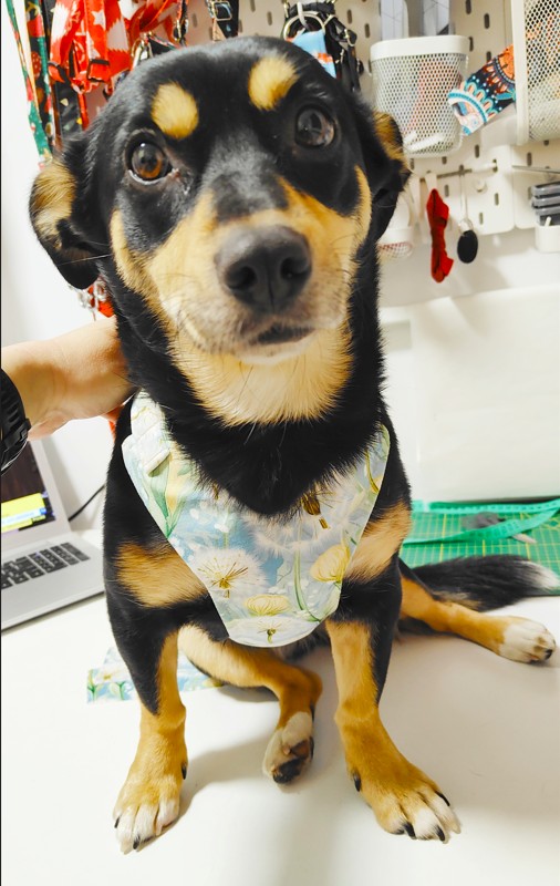 Zrzut ekranu 2025 03 25 120351