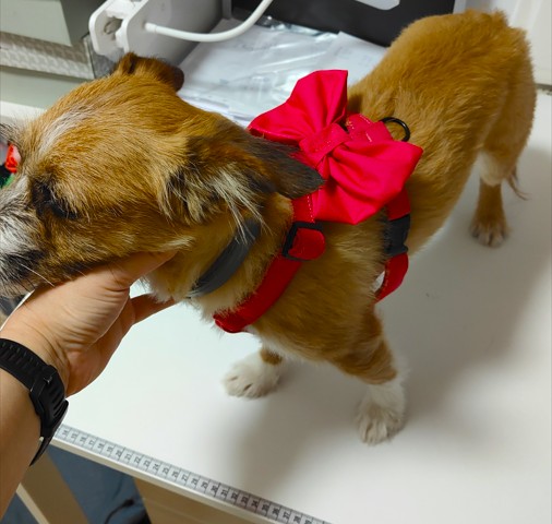 Zrzut ekranu 2025 03 25 121215