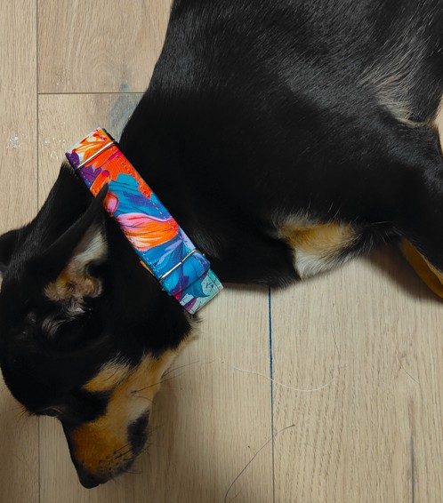 Zrzut ekranu 2025 03 25 121248