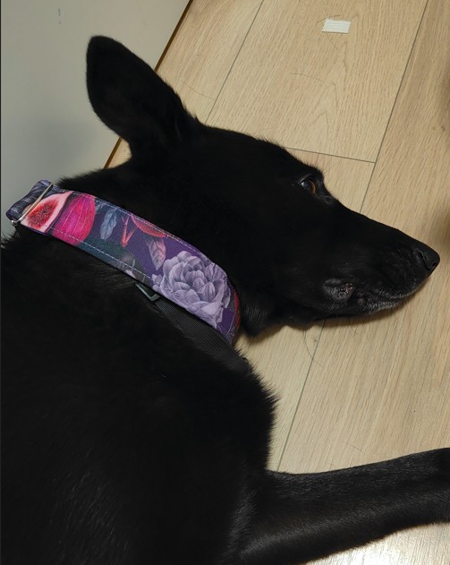 Zrzut ekranu 2025 03 25 121302