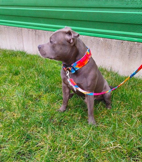 Zrzut ekranu 2025 03 25 121401