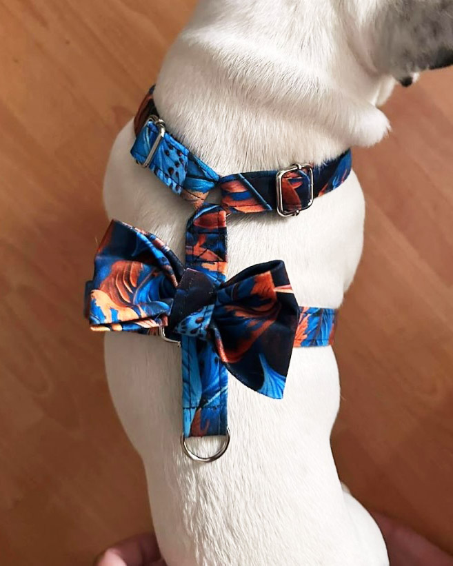 kokarda na szelkach 2