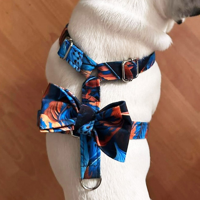 kokarda na szelkach 4