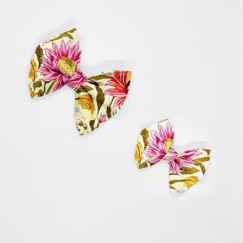 kokardy astry rozowe na jasnym tle