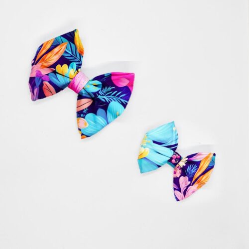 kokardy botaniczna fantazja