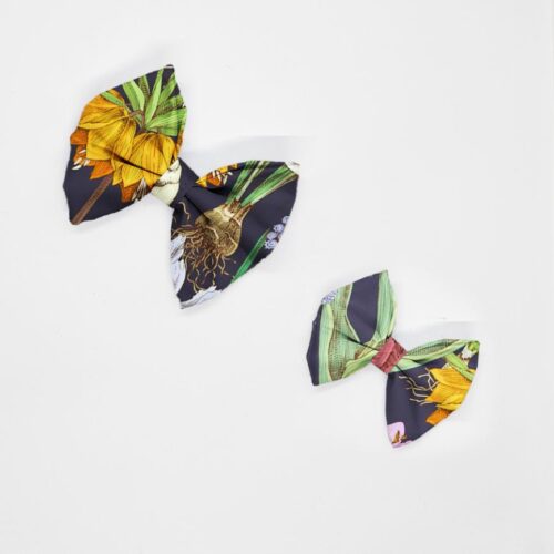 kokardy cebulki kwiatow