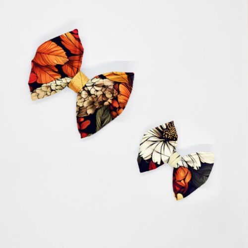 kokardy jesienne kwiaty