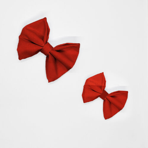 kokardy karmazynowa czerwień