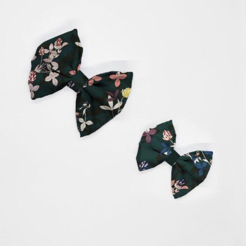 kokardy koniczyna na ciemny tle