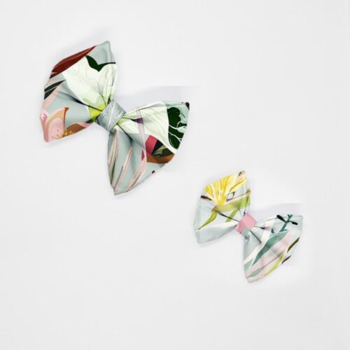 kokardy kwiat lotosu