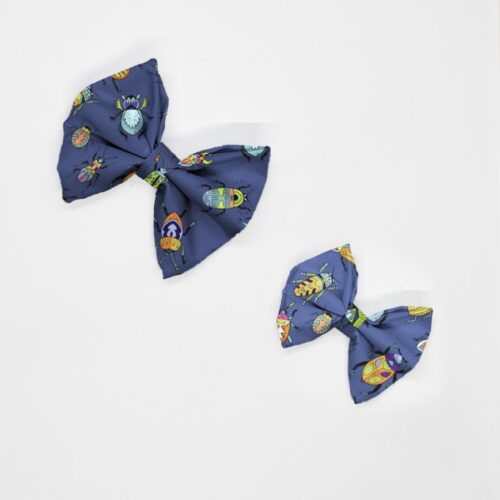 kokardy molorowe zuczki