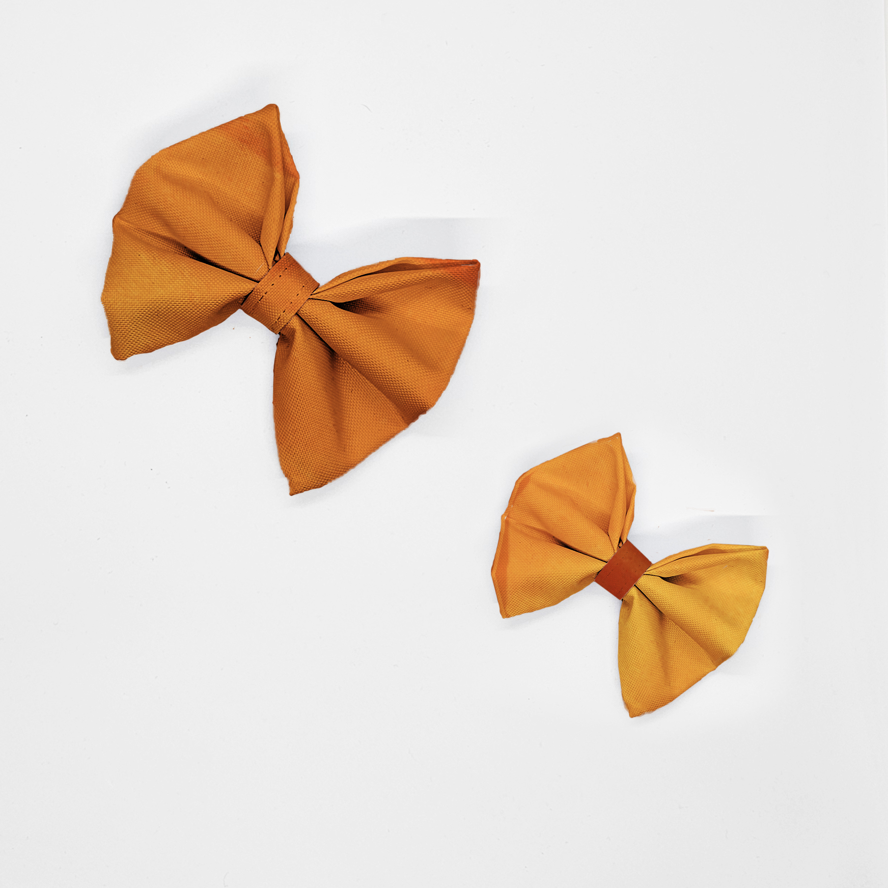 kokardy pomarańczowy