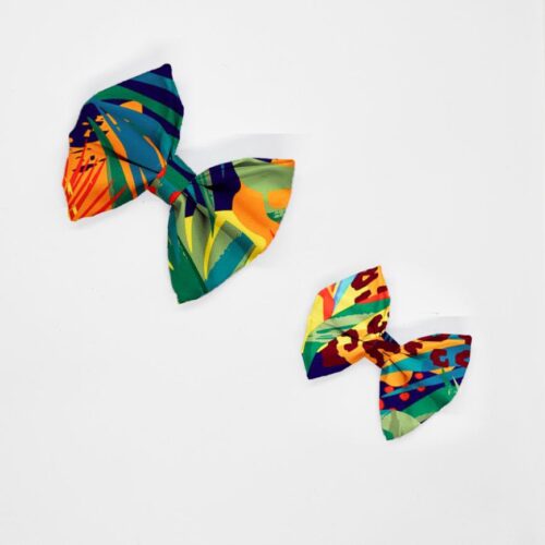 kokardy rajskie kwiaty w dzungli