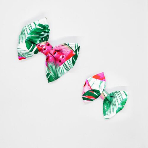 kokardy soczyste arbuzy