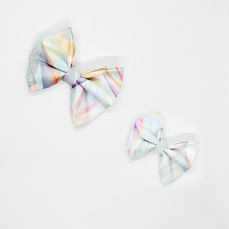 kokardy strelicje na jasnym