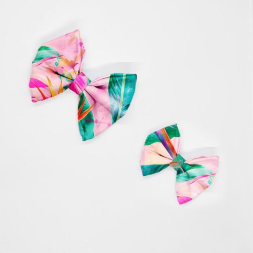 kokardy strelicje na rozowym