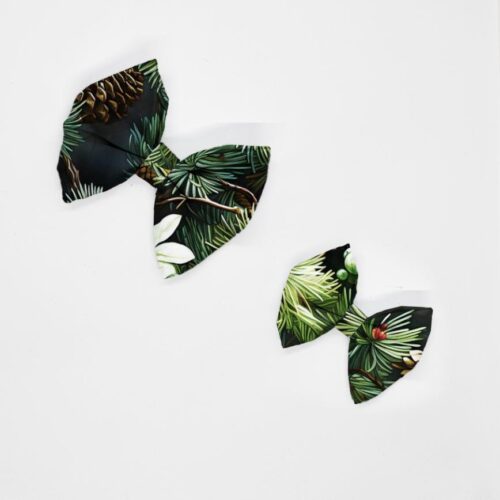 kokardy szyszki sosnowe