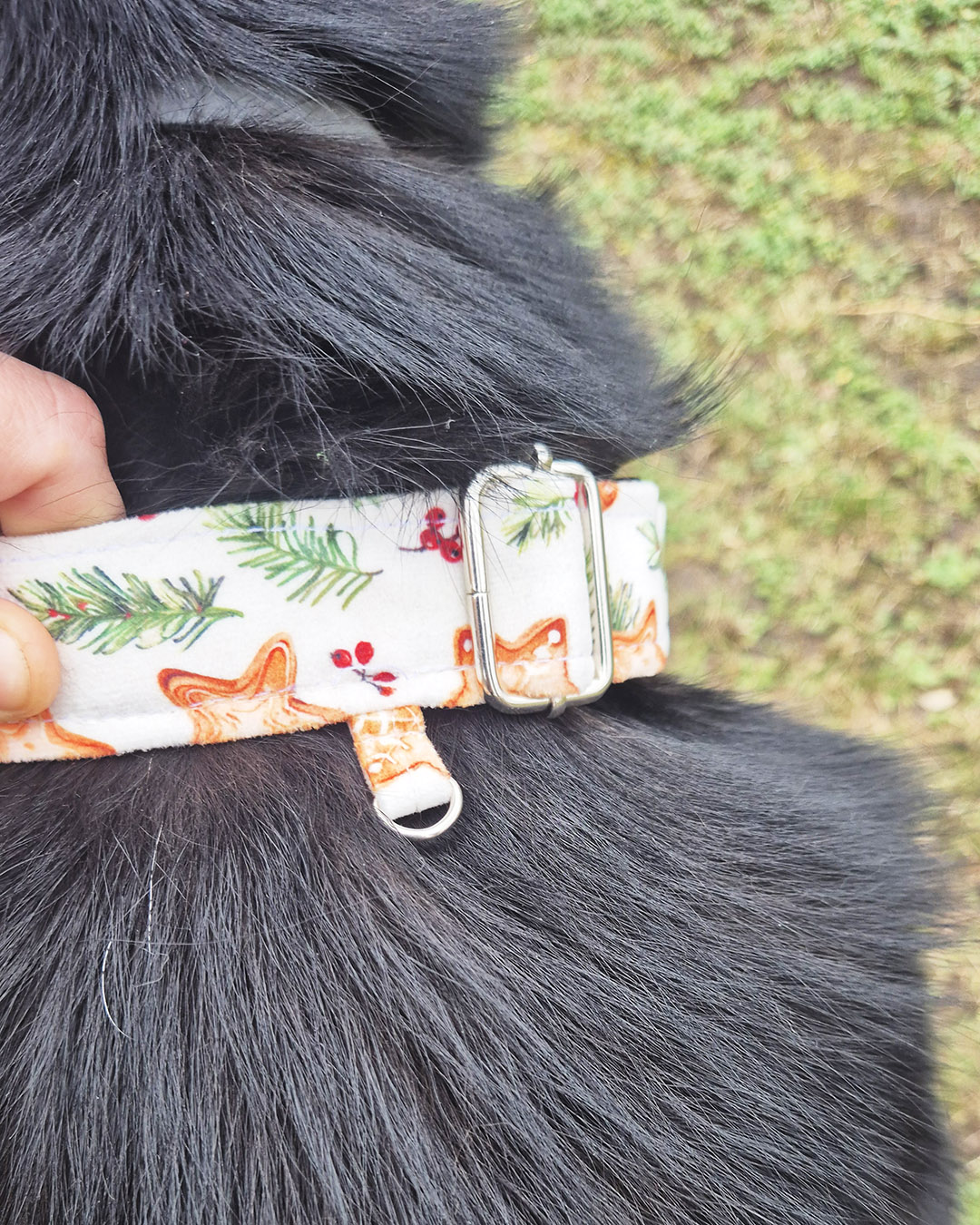 obroza z zapiecie na adresatke