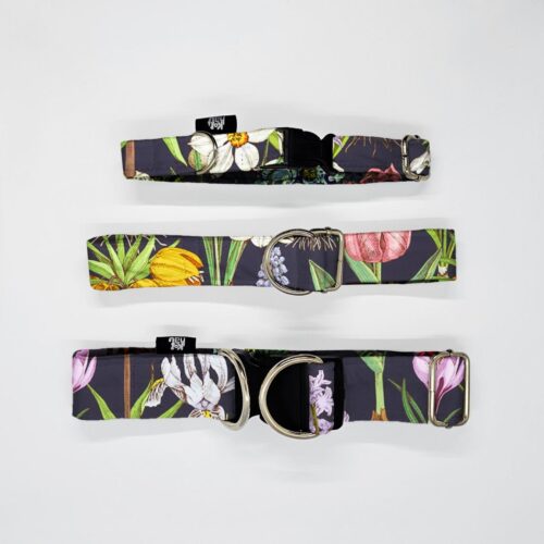 obroze s m l cebulki kwiat