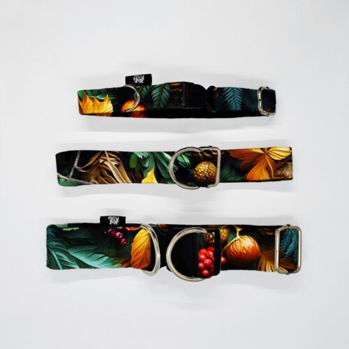 obroze s m l dary lasu