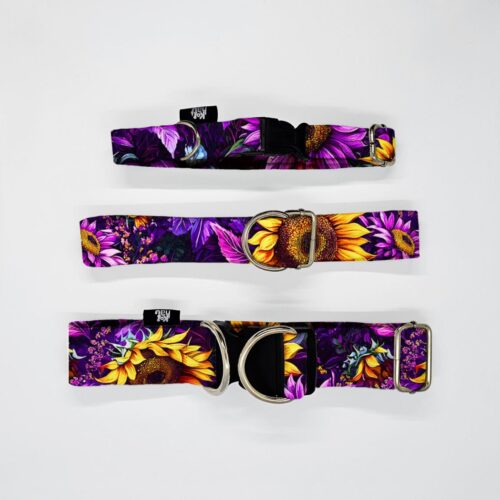 obroze s m l lesne ptaki fiolet slonecz