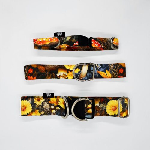 obroze s m l lesne ptaki grzyby w lisciach