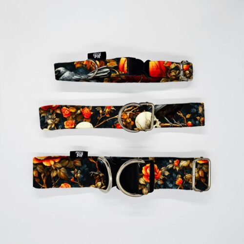 obroze s m l lesne ptaki halloween czachy i kruki