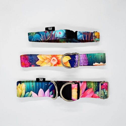 obroze s m l lesne ptaki kolor kaktusy