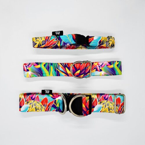 obroze s m l lesne ptaki kolor protea