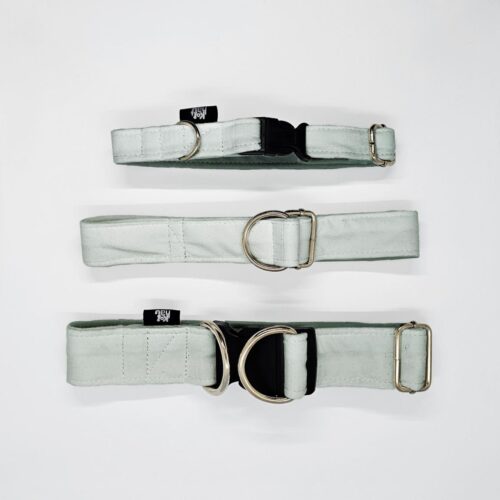 obroze s m l lesne ptaki mietowy