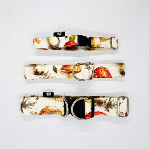 obroze s m l lesne ptaki muchom na jasnym