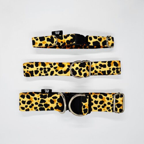 obroze s m l lesne ptaki panterka bezowa