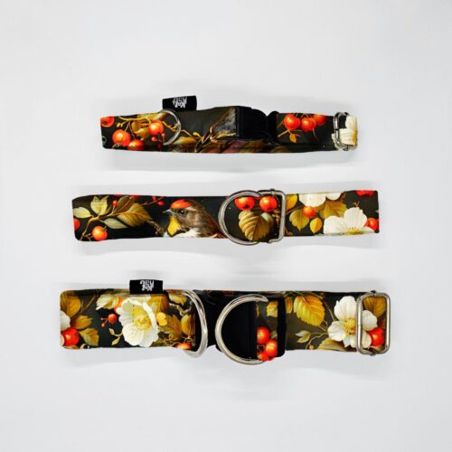 obroze s m l lesne ptaki ptak na jabloni