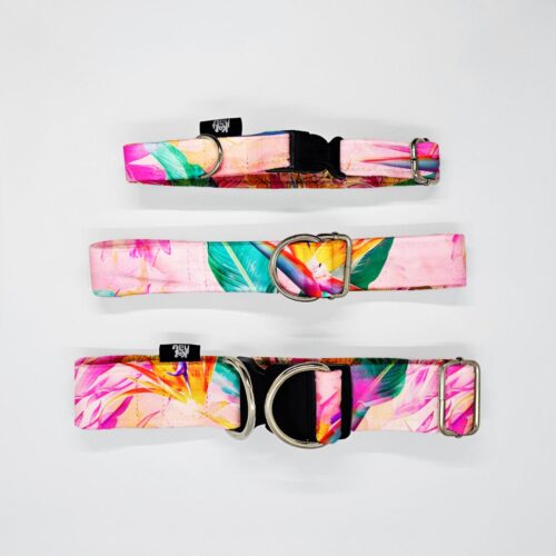 obroze s m l lesne ptaki strelicje na roz