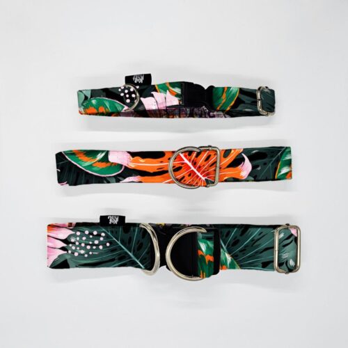 obroze s m l pomarancz liscie monstery