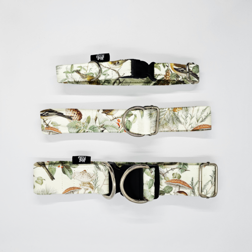 obroze s m lesne ptaki