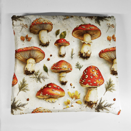 poduszka muchom na jasnym