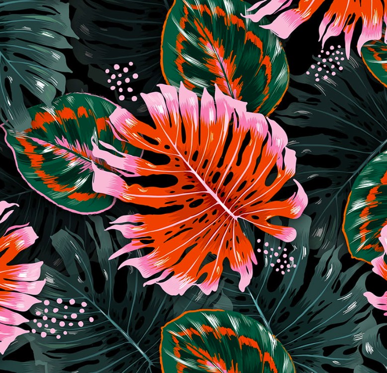 pomaranczowe liscie monstery