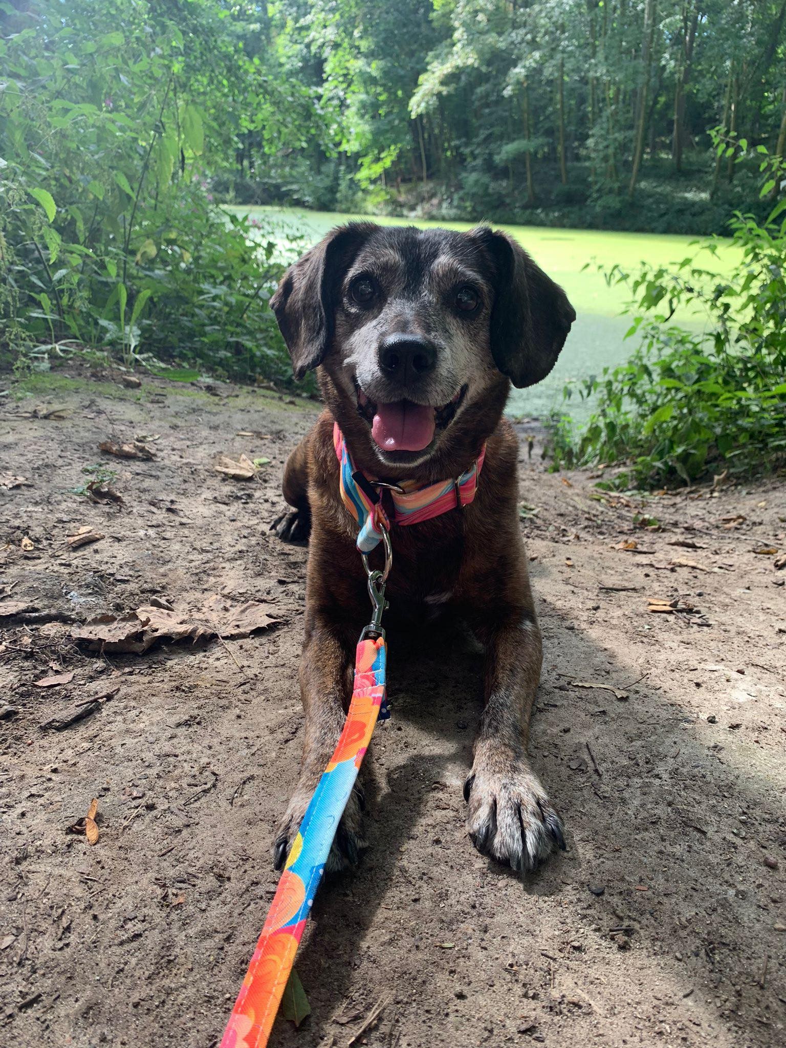 received_1895738300851707