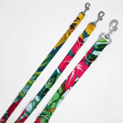 smycze KAMELEONY W KJAWIA