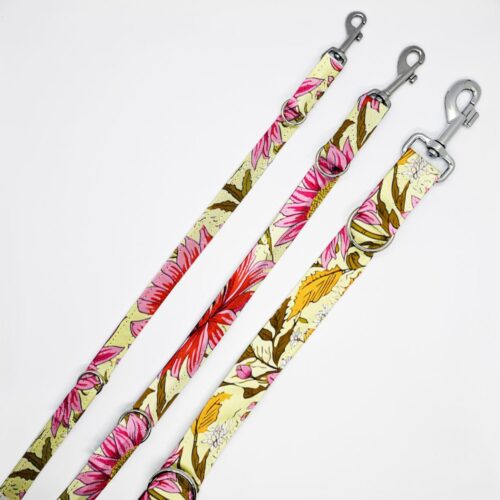 smycze astry roz na jasnym