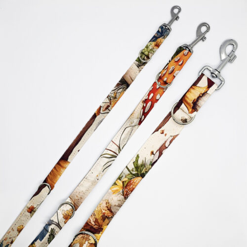 smycze grzyby na jasnej łące